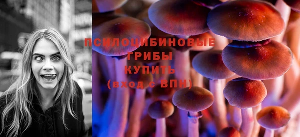 меф Горно-Алтайск