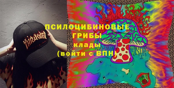 спиды Гусев