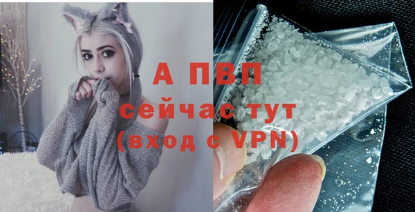 PSILOCYBIN Гусиноозёрск