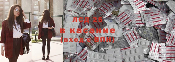 PSILOCYBIN Гусиноозёрск