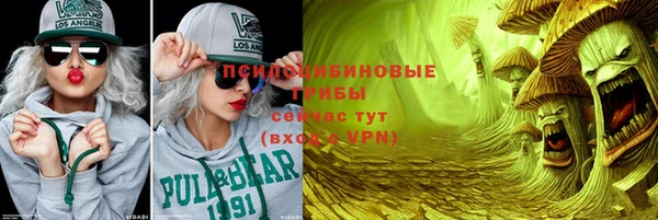 спиды Гусев