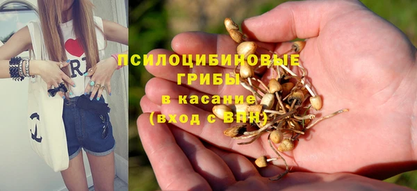 PSILOCYBIN Гусиноозёрск