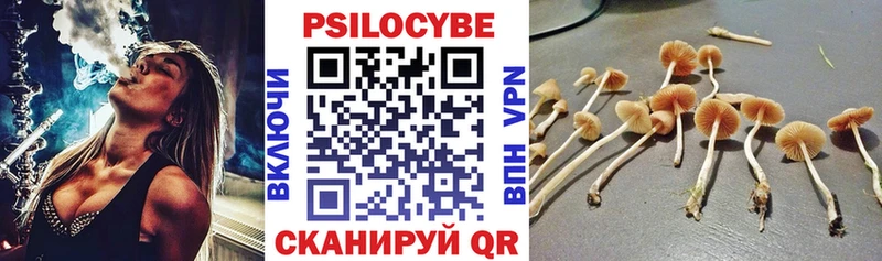 продажа наркотиков  Данков  Псилоцибиновые грибы мицелий 